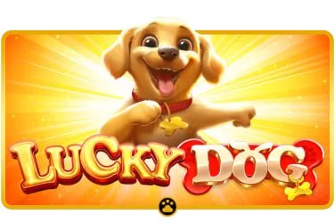 m2lone ဂိမ်းလော်ဘီ Slots ဂိမ်းများ Jackpot မြန်မာ ကစားသမား မိုဘိုင်းဖုန်း
